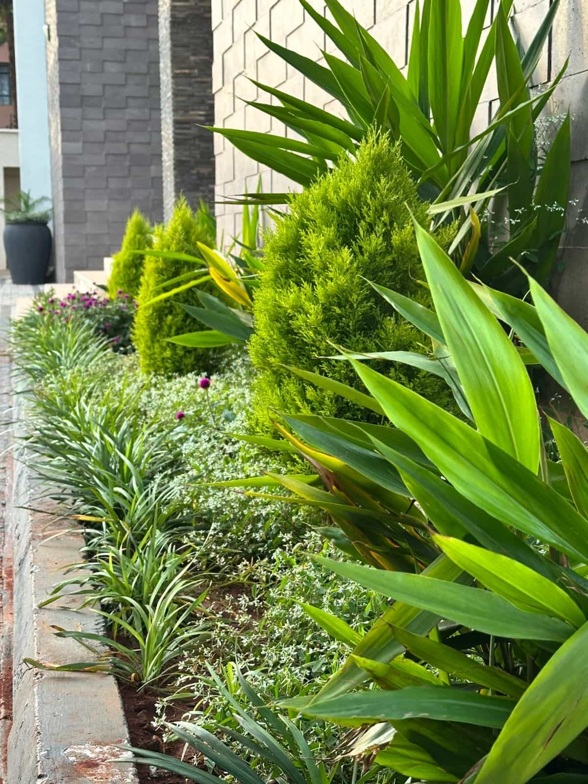 Muthithi Gardens Estate Entrance Flower Bed (After)